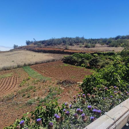 Finca El Cercadillo Ґальдар Екстер'єр фото