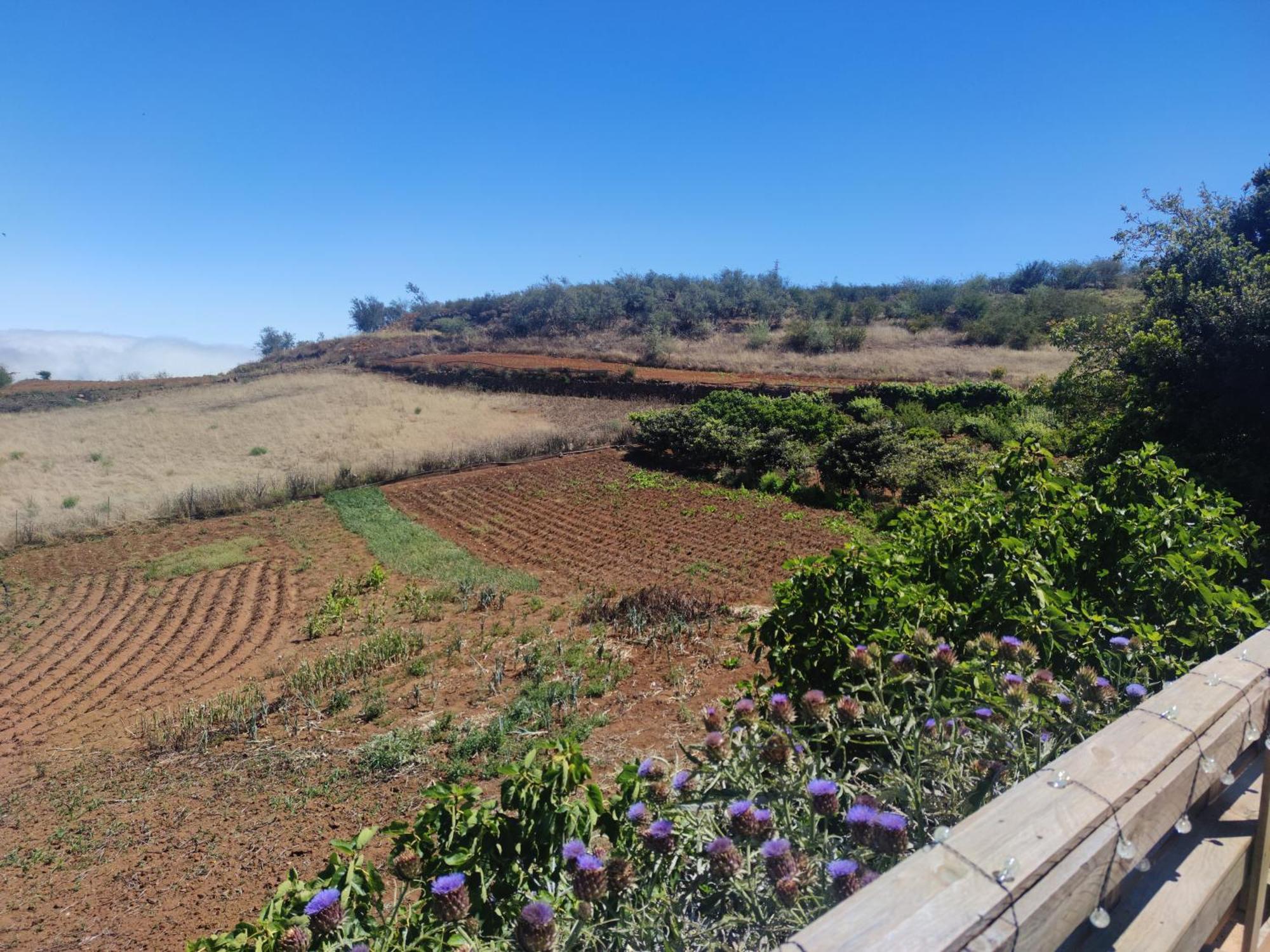 Finca El Cercadillo Ґальдар Екстер'єр фото